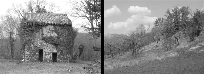 preesistenza e paesaggio circostante